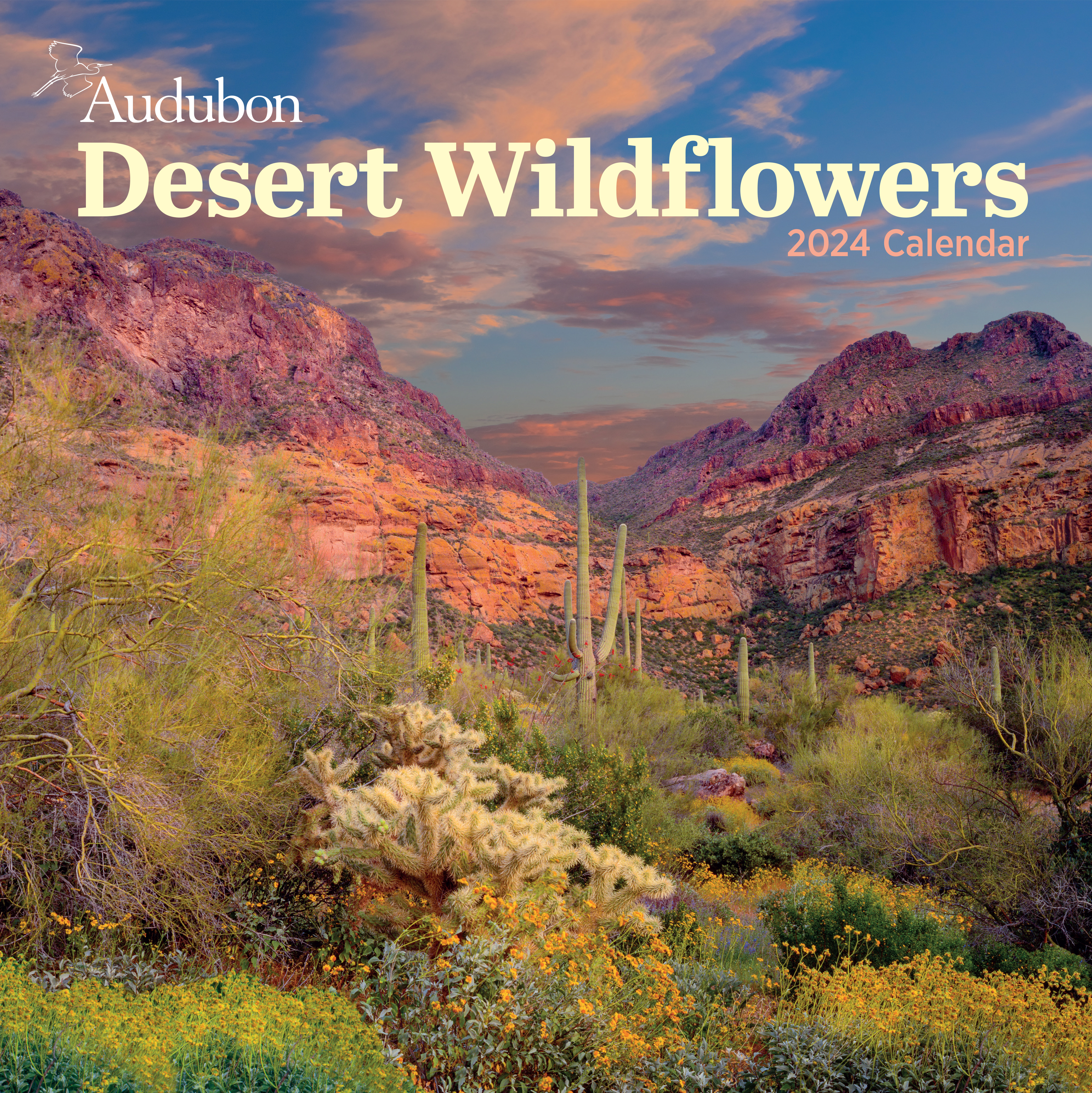 Calendars　2024　Wildflowers　Workman　Audubon　Hachette　Calendar　by　Desert　Group　Wall　Book