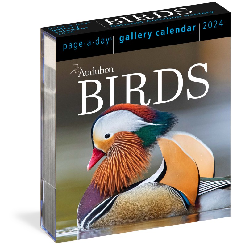 audubon-songbirds-and-other-backyard-birds-picture-a-day-wall-calendar-2024-by-workman-calendars