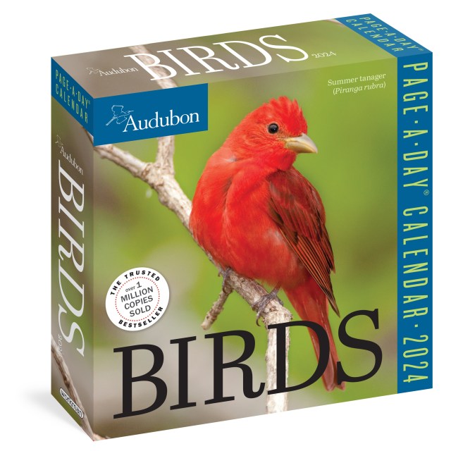 Calendar　by　Audubon　Calendars　Hachette　Birds　Group　Page-A-Day　2024　Workman　Book