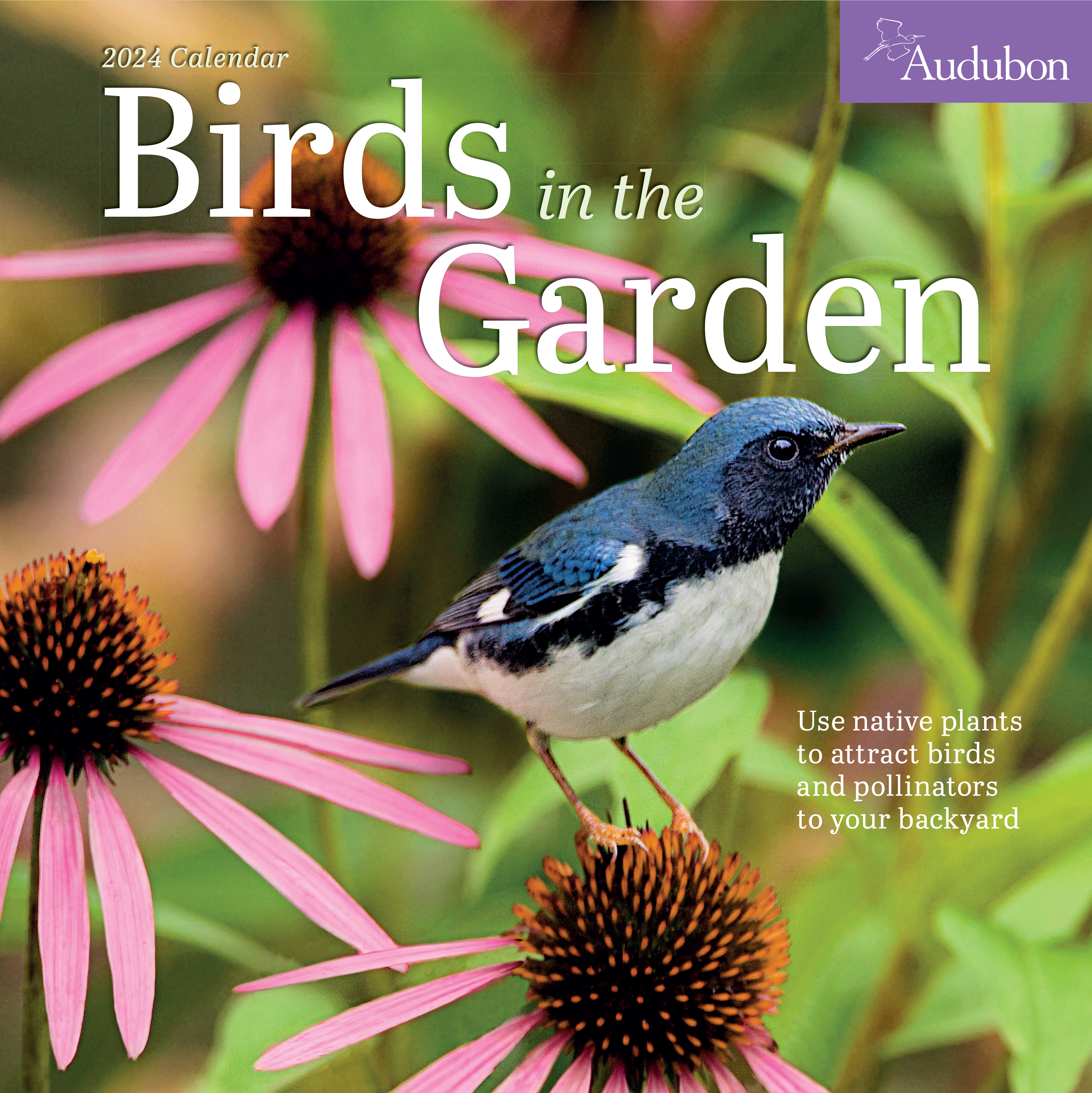 Audubon Birds in the Garden Wall Calendar 2024 by Workman Calendars