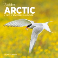 Audubon Arctic Wall Calendar 2024