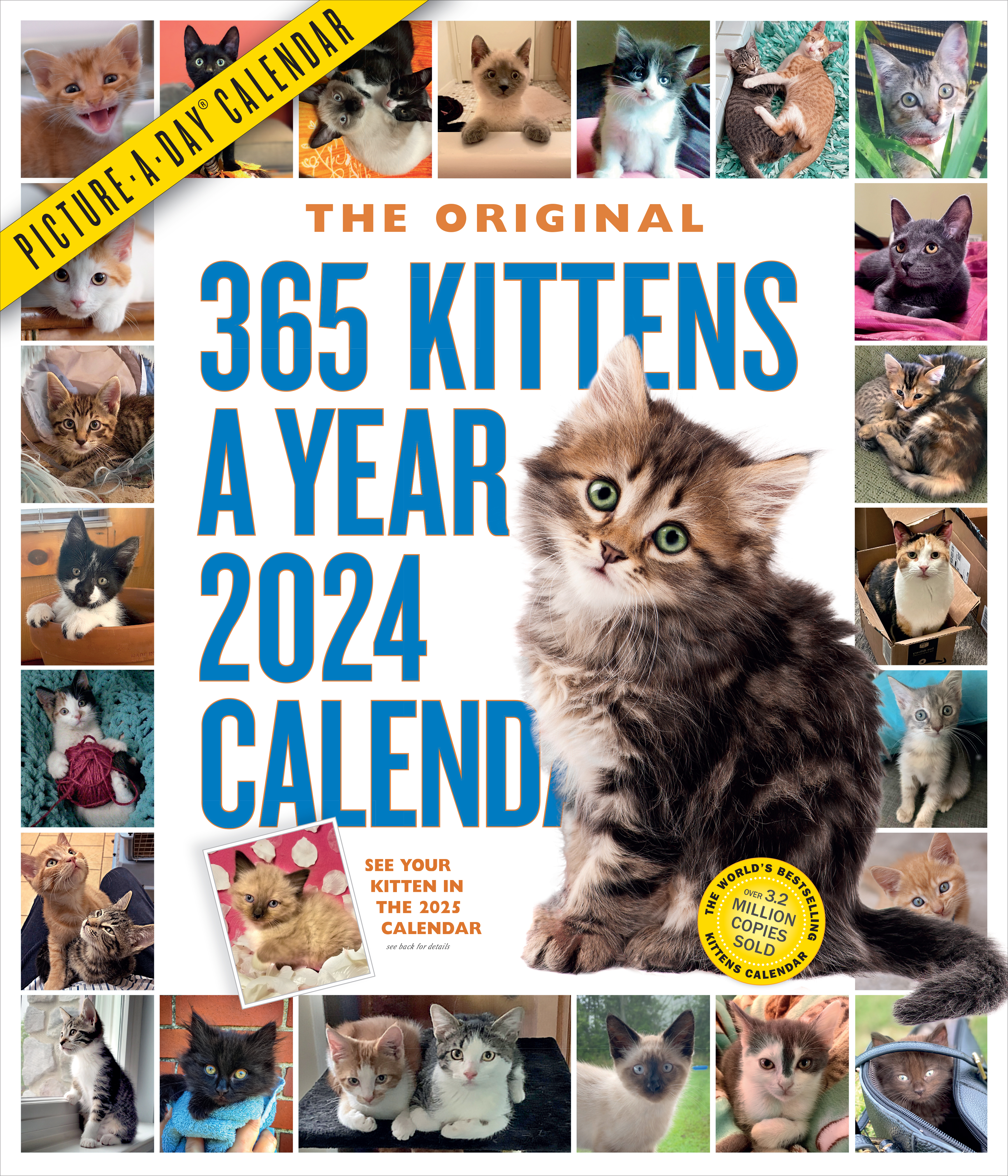 365 Kittens-A-Year Picture-A-Day Wall Calendar 2024 by Workman Calendars | Hachette Book Group 365 Kittens-A-Year Picture-A-Day Wall Calendar 2024 by Workman Calendars | Hachette Book Group