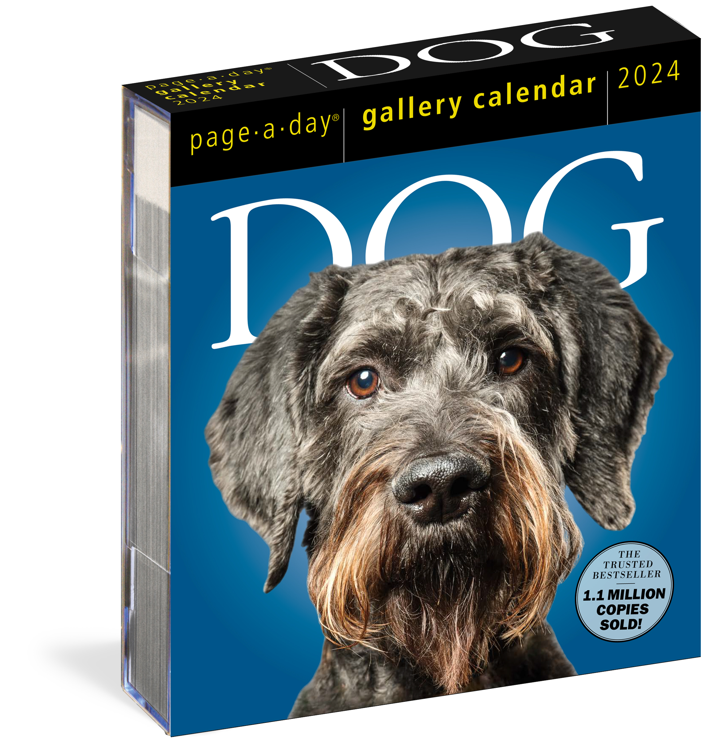 Dog PageADay Gallery Calendar 2024 by Workman Calendars Hachette