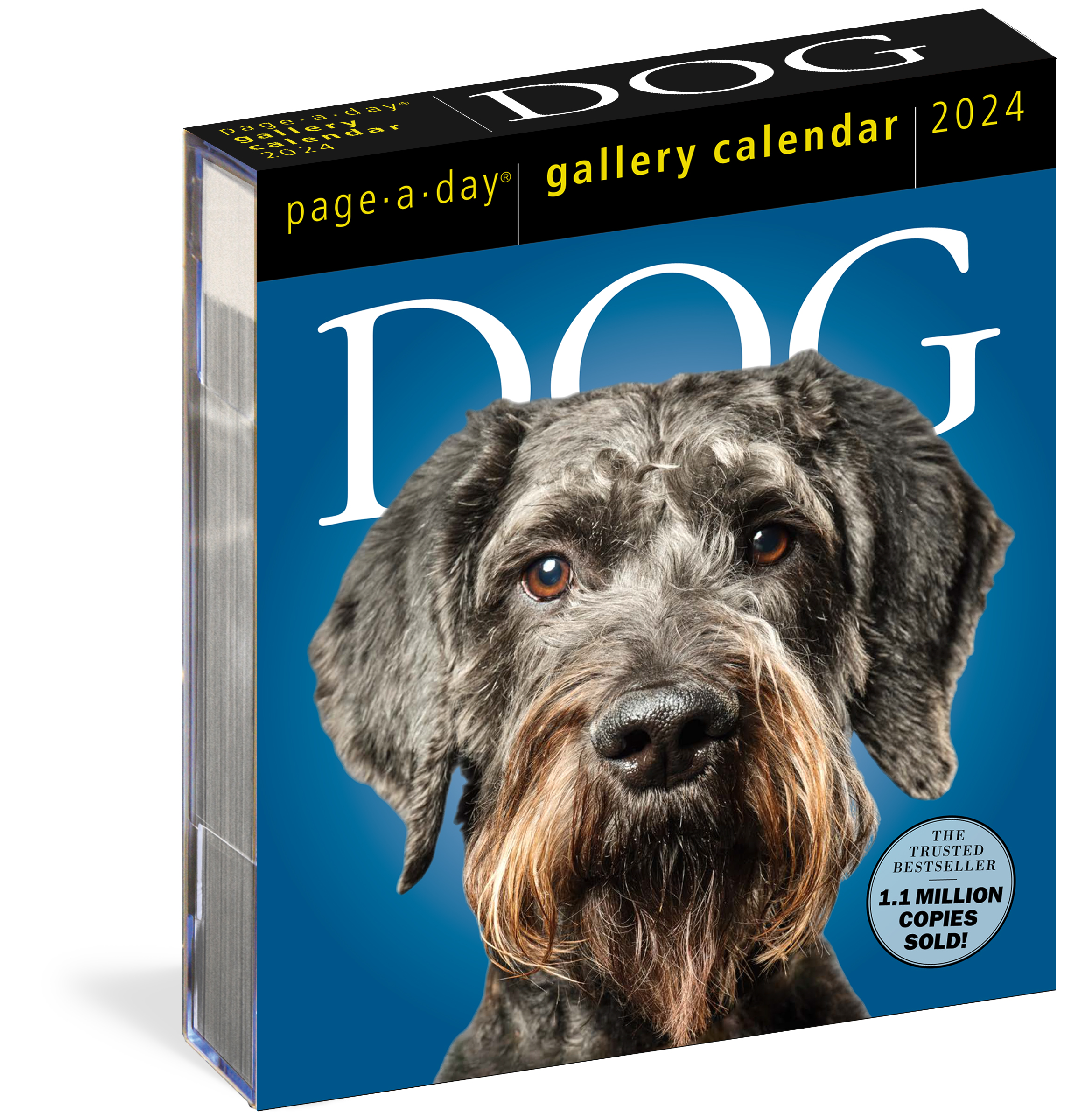 Dog Page A Day Gallery Calendar 2024 By Workman Calendars Hachette Dog Page A Day Gallery Calendar 2024 By Workman Calendars Hachette
