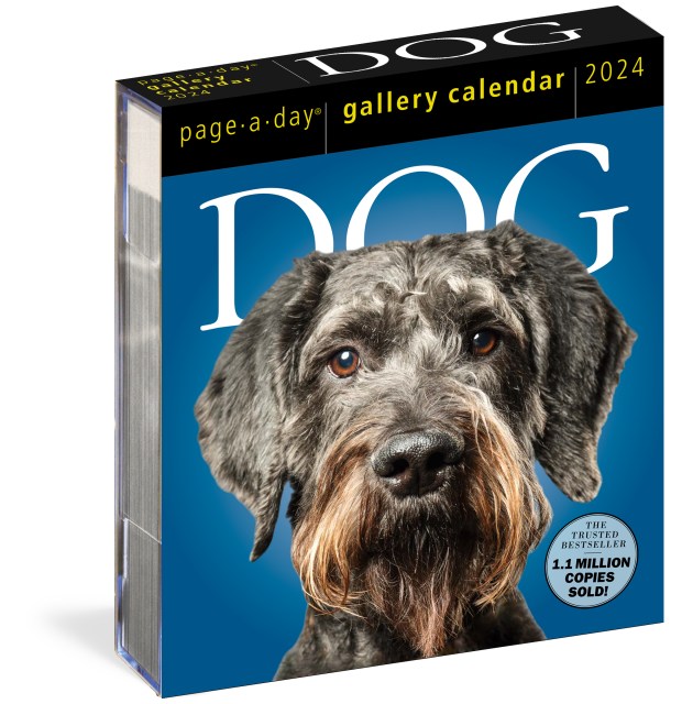 dog-page-a-day-gallery-calendar-2024-by-workman-calendars-hachette-book-group