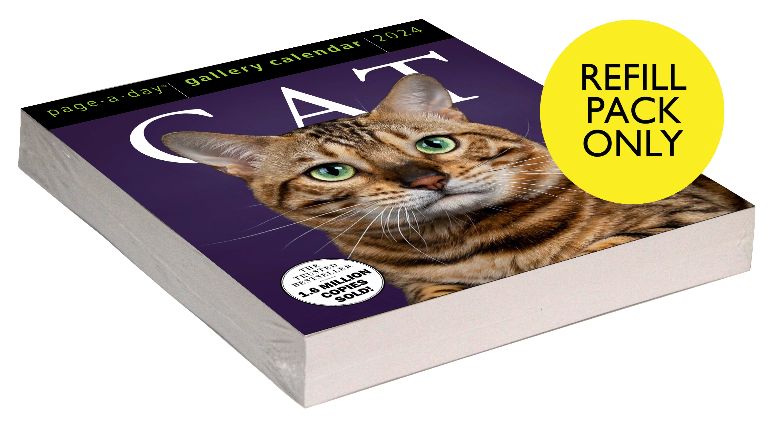 Cat Page-A-Day® Gallery Calendar Refill Pack 2024 by Workman Publishing | Hachette Book Group cat-page-a-day-gallery-calendar-refill-pack-2024-by-workman-publishing-hachette-book-group
