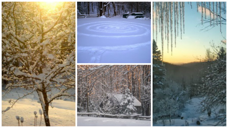 storey-Rosemary Gladstar’s New Year’s Note and a Tea Recipe for the Winter Blues-01