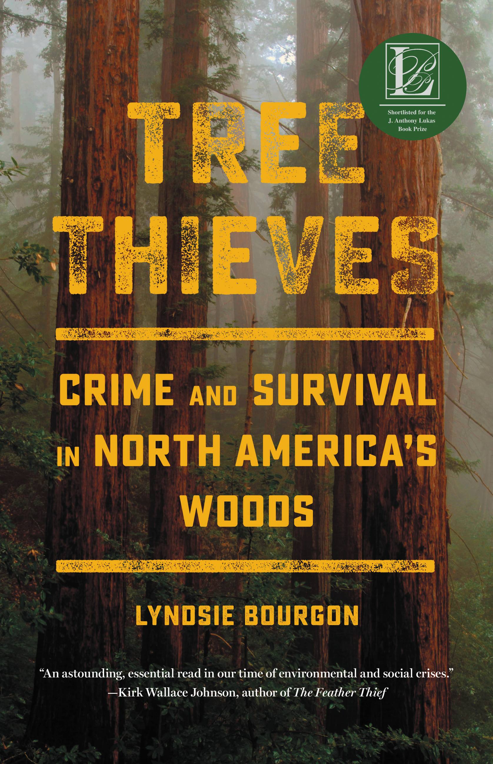 Tree Thieves by Lyndsie Bourgon Hachette Book Group