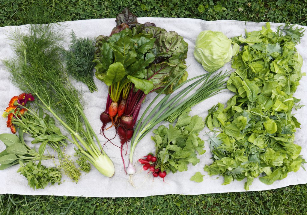 Photo of flowers, beets, fennel, and other greens on a white cloth.