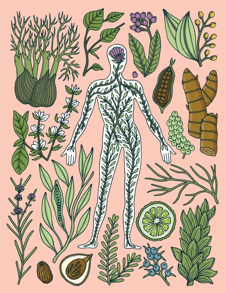 Illustration of person surrounded by herbs and spices.