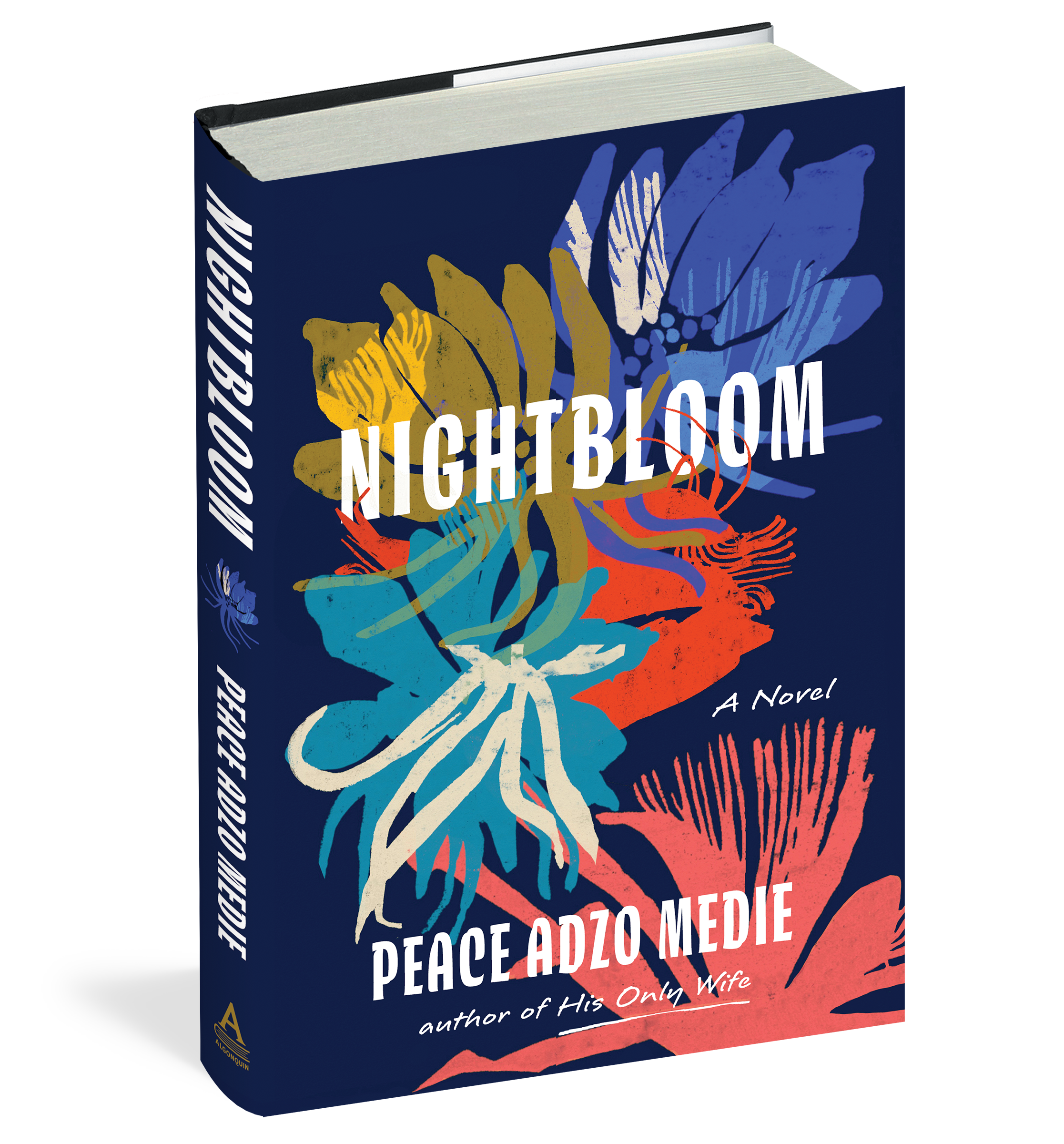 Algonquin Books Home Hachette Book Group