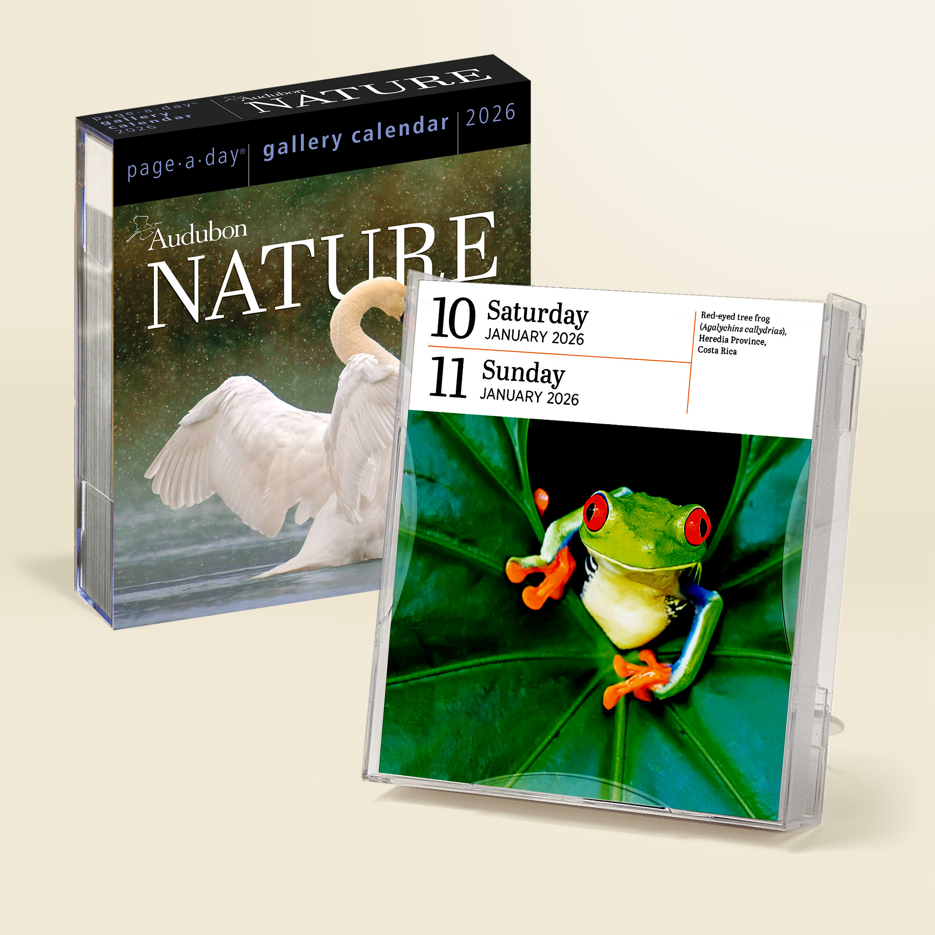 Workman Calendars | Hachette Book Group