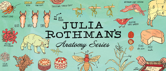 Julia Rothman's  Brand Page