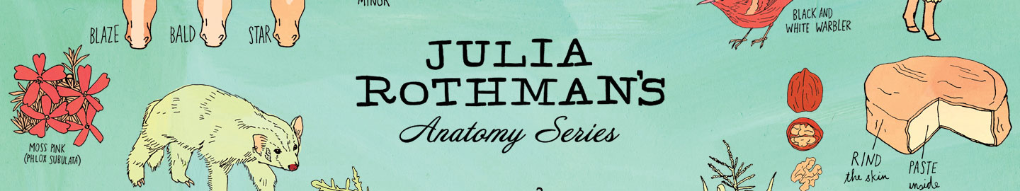 Julia Rothman Anatomy Brand Page | Hachette Book Group