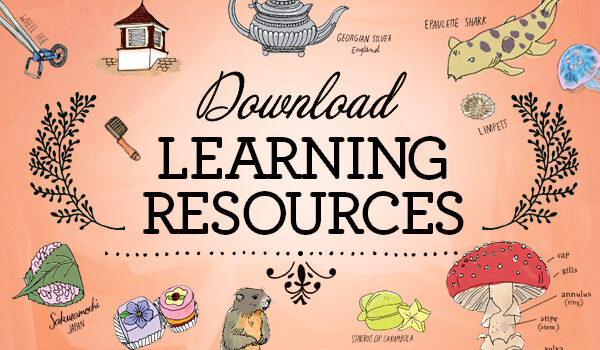 Download Learning Resources