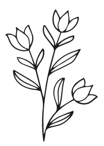 Spot art from "Sacred Seasons." An illustration of flowers on their stems