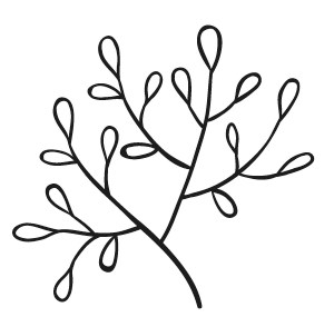 Spot art from "Sacred Seasons." An illustration of small buds on branches.