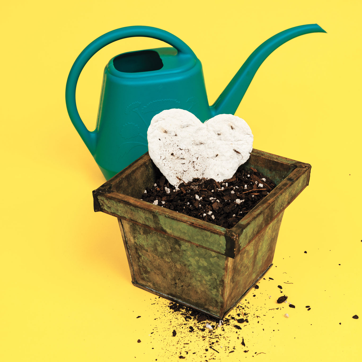 Photo of a plantable paper heart in a pot with a green watering can.