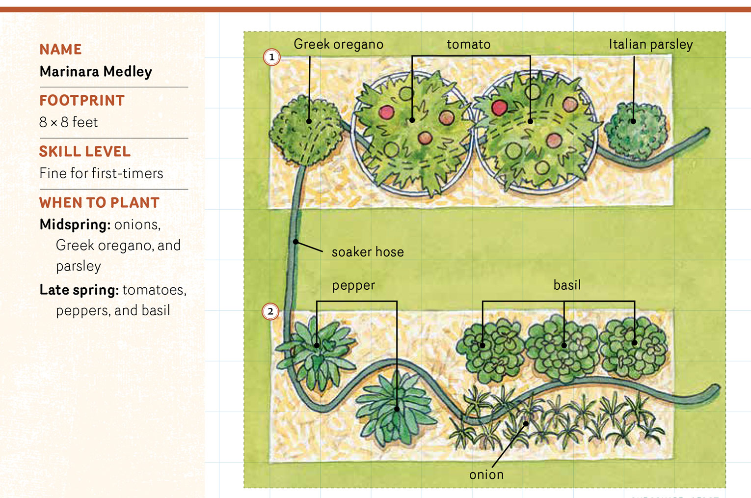 An illustration of a Marinara Medley Garden Plan.