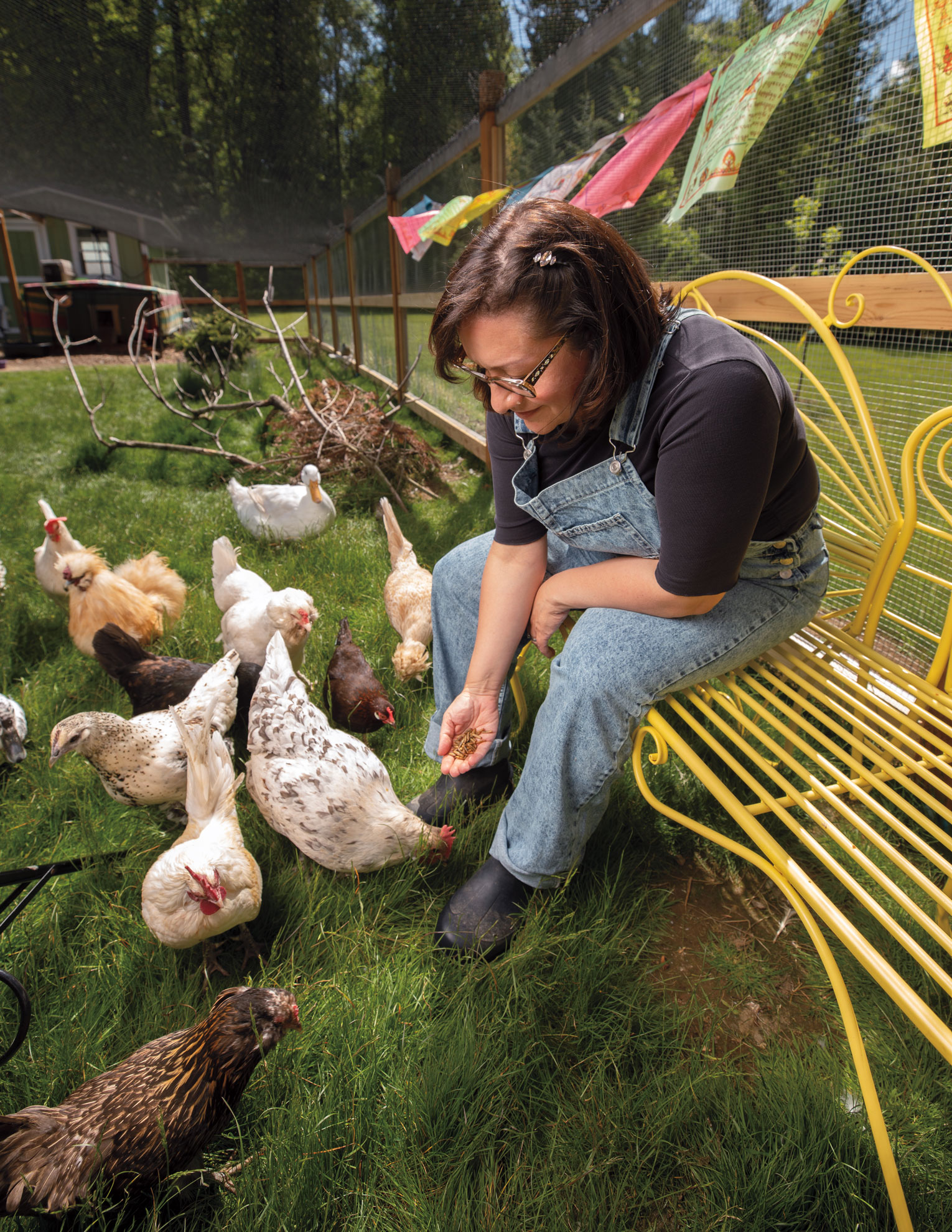 Photo of author Dalia Monterroso feeding her chickens.
