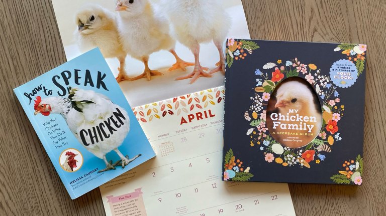 My Chicken Family: An Interview with Melissa Caughey