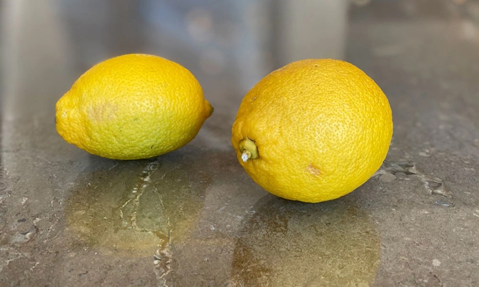 Photo of two lemons.