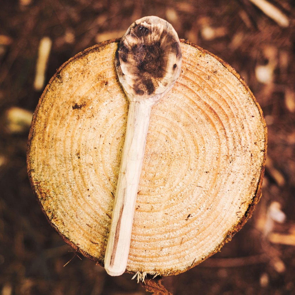 Photo of finished spoon on a log.