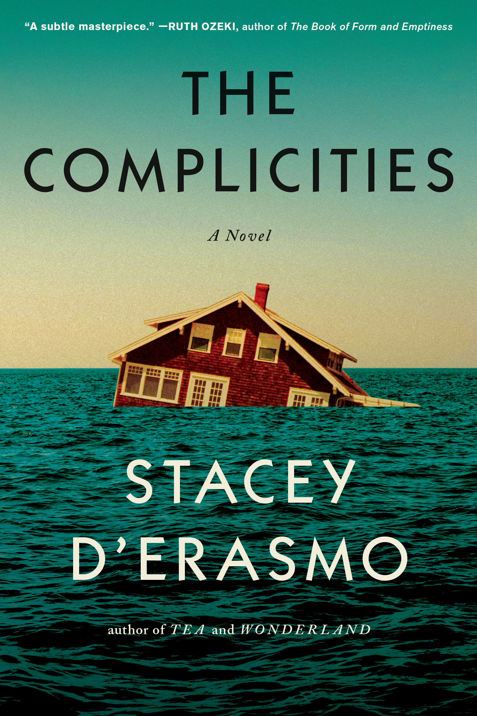 The Complicities by Stacey DErasmo Hachette Book Group