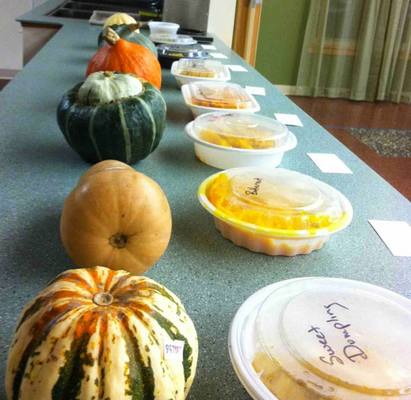 A Survey of Squash for the Winter Season