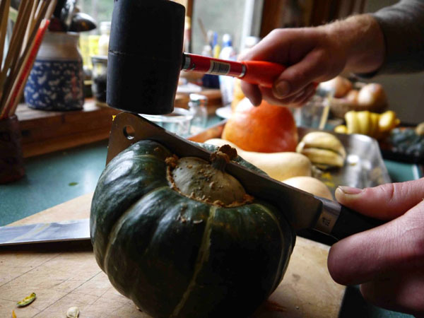 A Survey of Squash for the Winter Season