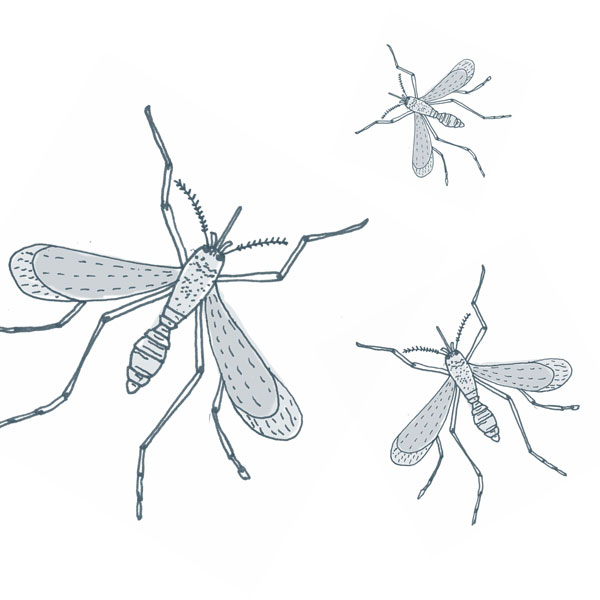 Keep Outdoor Bugs from Coming In