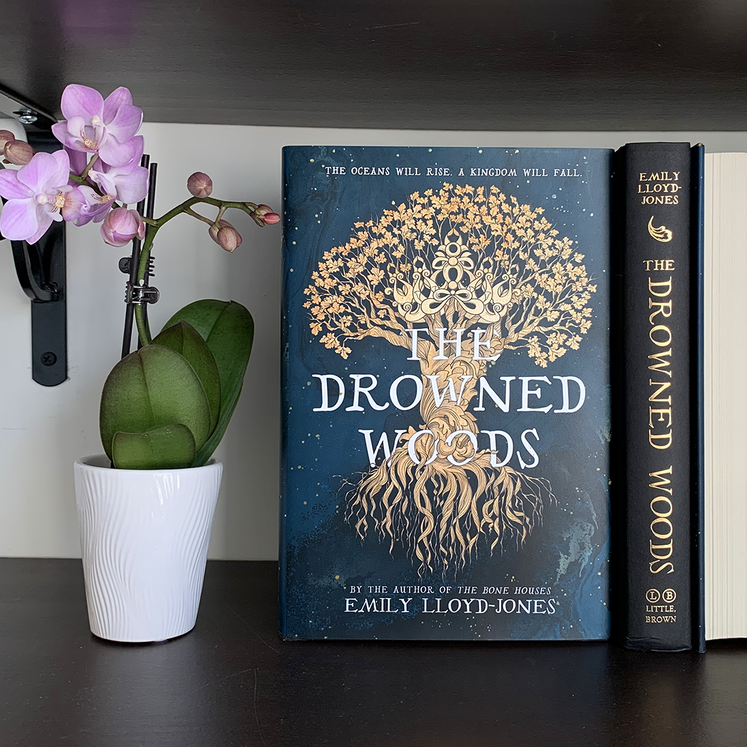 Instagram image of the book "The Drowned Woods" by Emily Lloyd-Jones