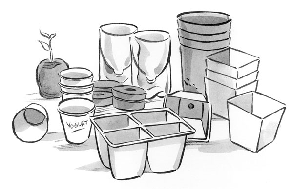 What Do the Abbreviations on Seed Packets Mean-01