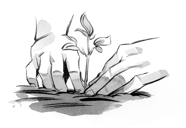 What Do the Abbreviations on Seed Packets Mean-02