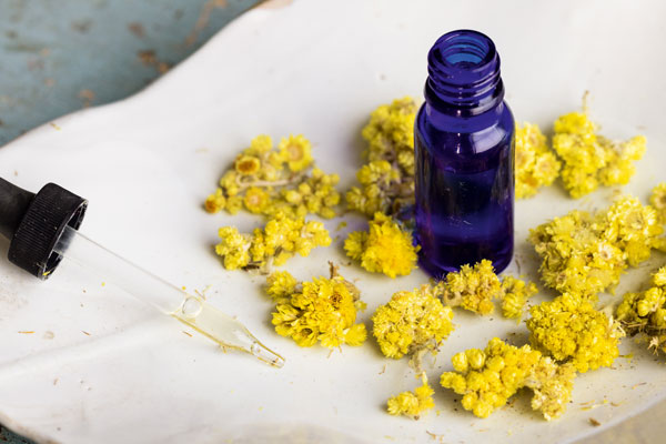 Helichrysum essential oil soothes pain and eases imflammation. Photo by Mars Vilaubi, excerpted from Stephanie Tourles’s Essential Oils: A Beginner’s Guide.