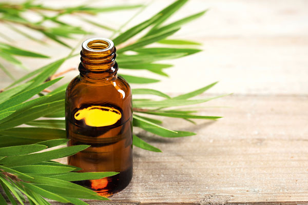 Tea tree essential oilcan be used to soothe and heal a wide variety of conditions. Photo © Amy_Lv/iStockphoto.com.