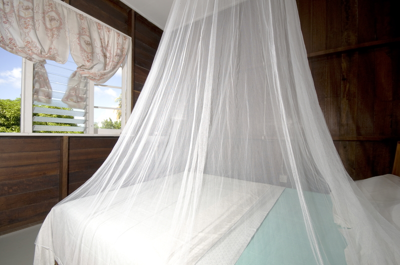 Image of a room with a bed covered by a white mosquito net.
