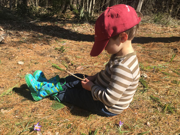 forest-bathing-quarantine