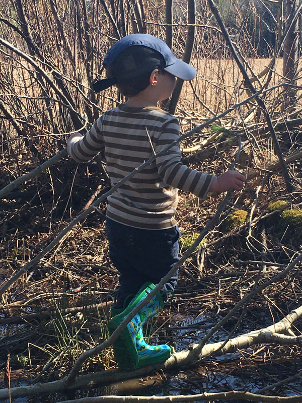 forest-bathing-quarantine