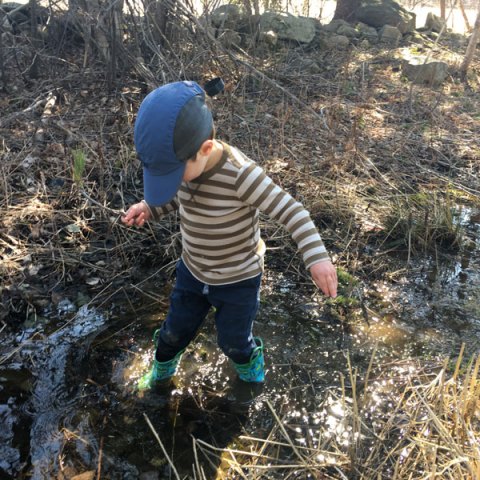 forest-bathing-quarantine
