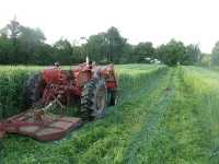 keith-stewart-spring-cover-crops-and