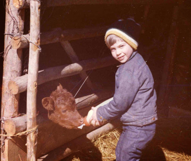 Notes from Sky Range Ranch: The Cows We Kept as Pets