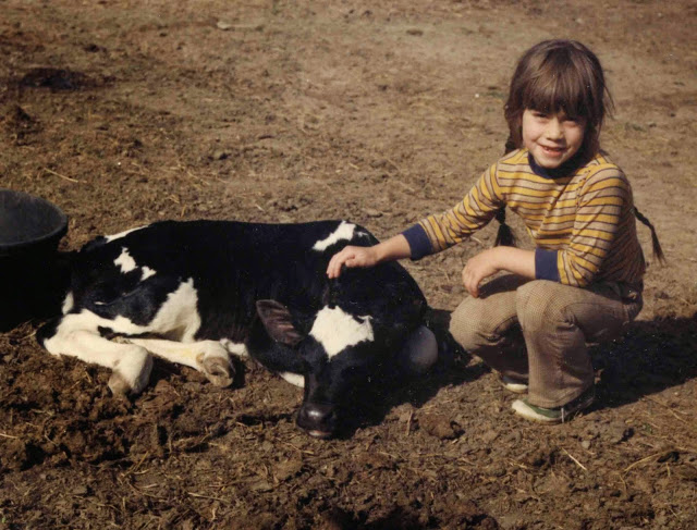 Notes from Sky Range Ranch: The Cows We Kept as Pets