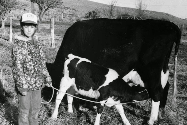 Notes from Sky Range Ranch: The Cows We Kept as Pets
