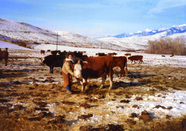Notes from Sky Range Ranch: The Cows We Kept as Pets