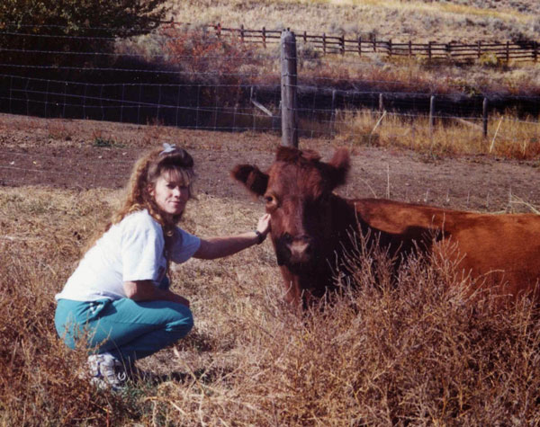 Notes from Sky Range Ranch: The Cows We Kept as Pets
