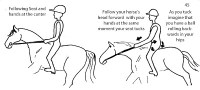 storey-Horseriders-Problems-and-Solutions