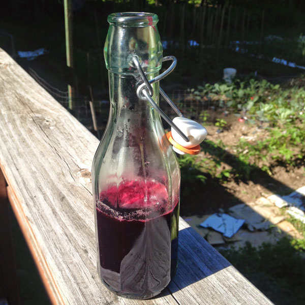 storey-blueberry-gastrique-02