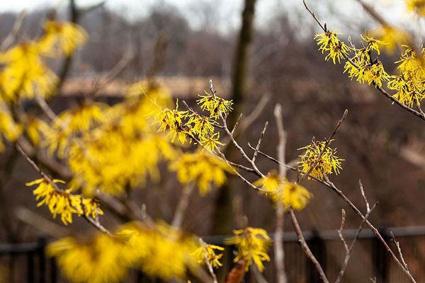 summer-first-aid-power-plants
