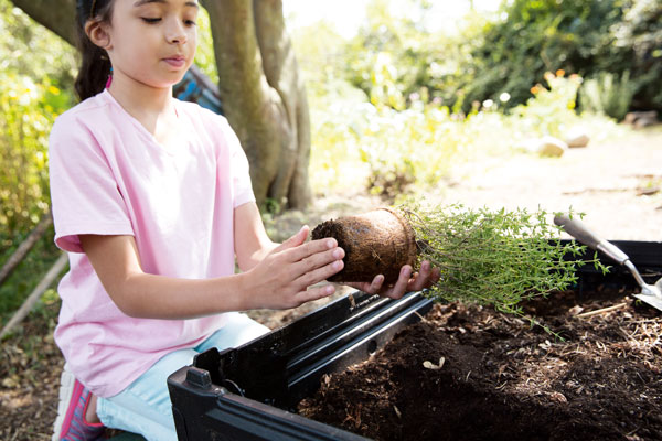 transplanting-tips-kid-gardeners-Remove-Pot
